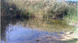 Reflection waves 3. Волны отражения 3.